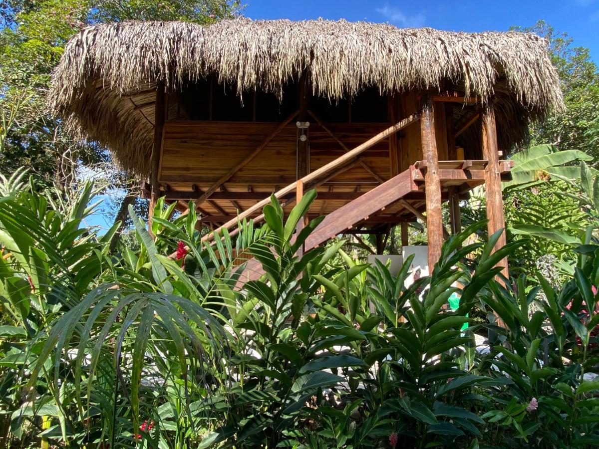 Salvia Madre Hotel Guachaca Buitenkant foto