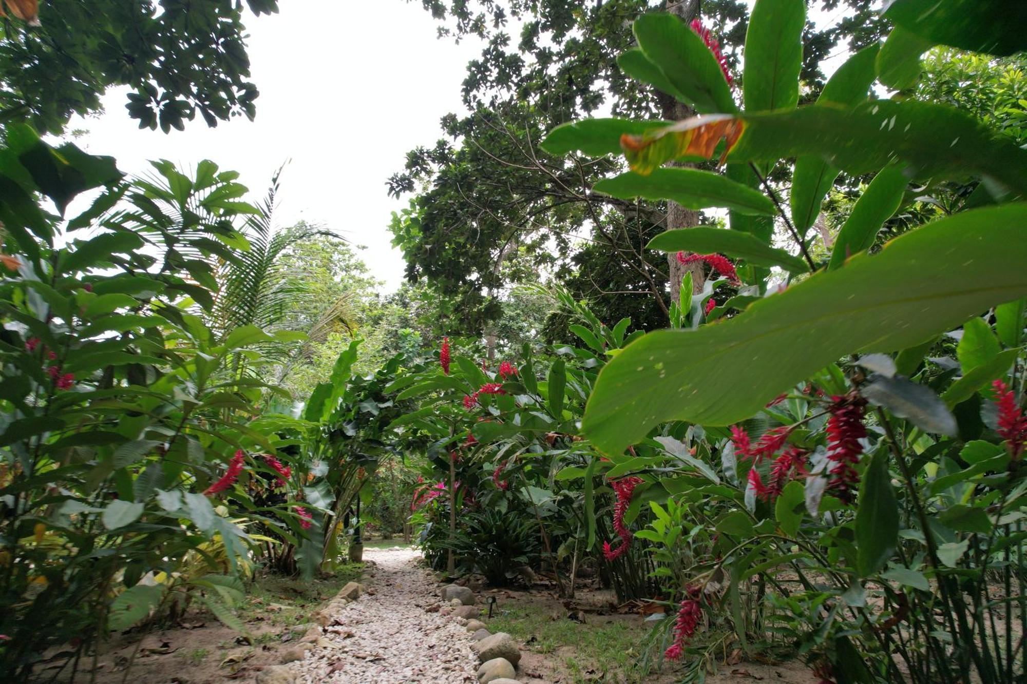 Salvia Madre Hotel Guachaca Buitenkant foto