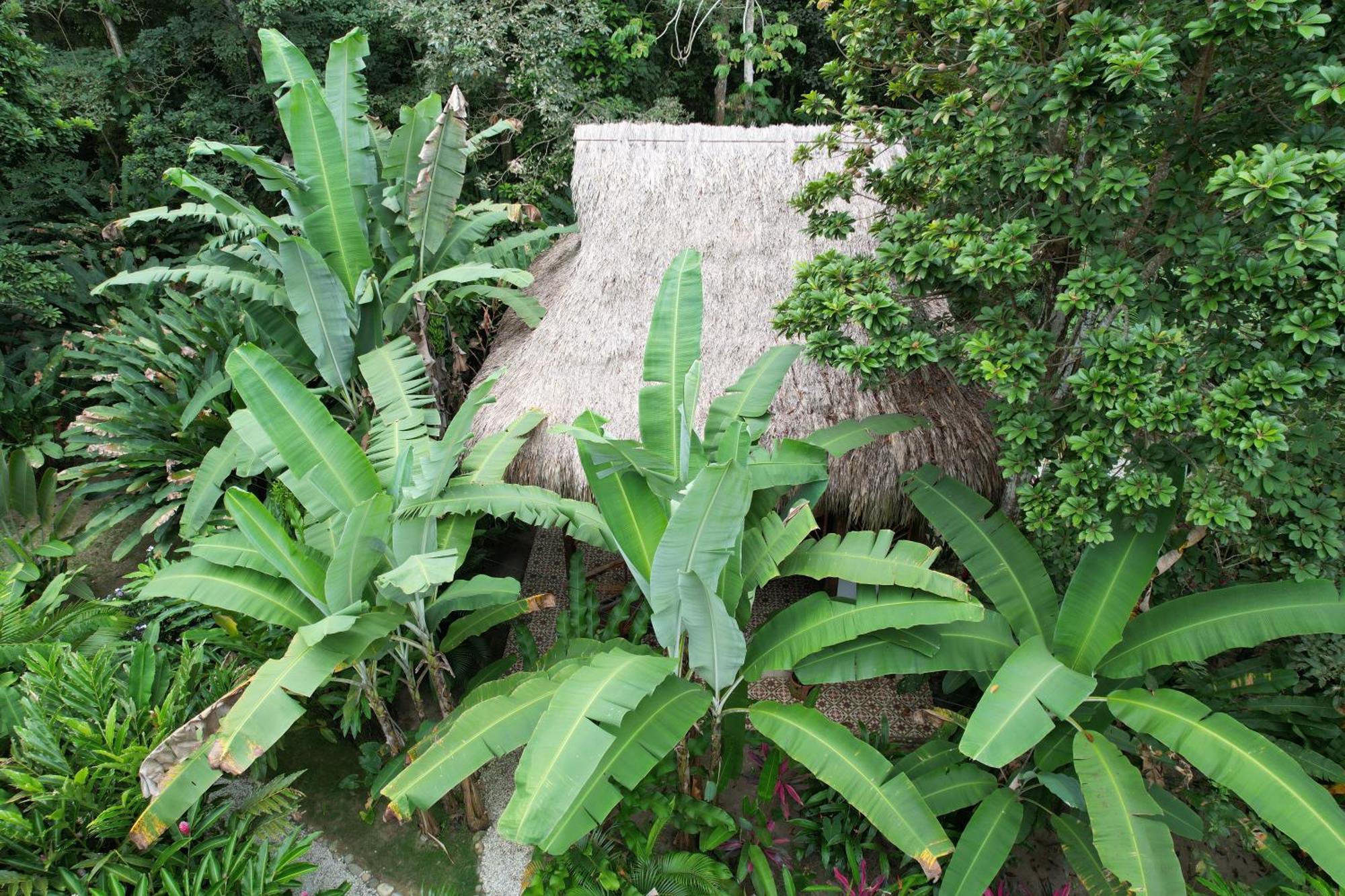 Salvia Madre Hotel Guachaca Buitenkant foto