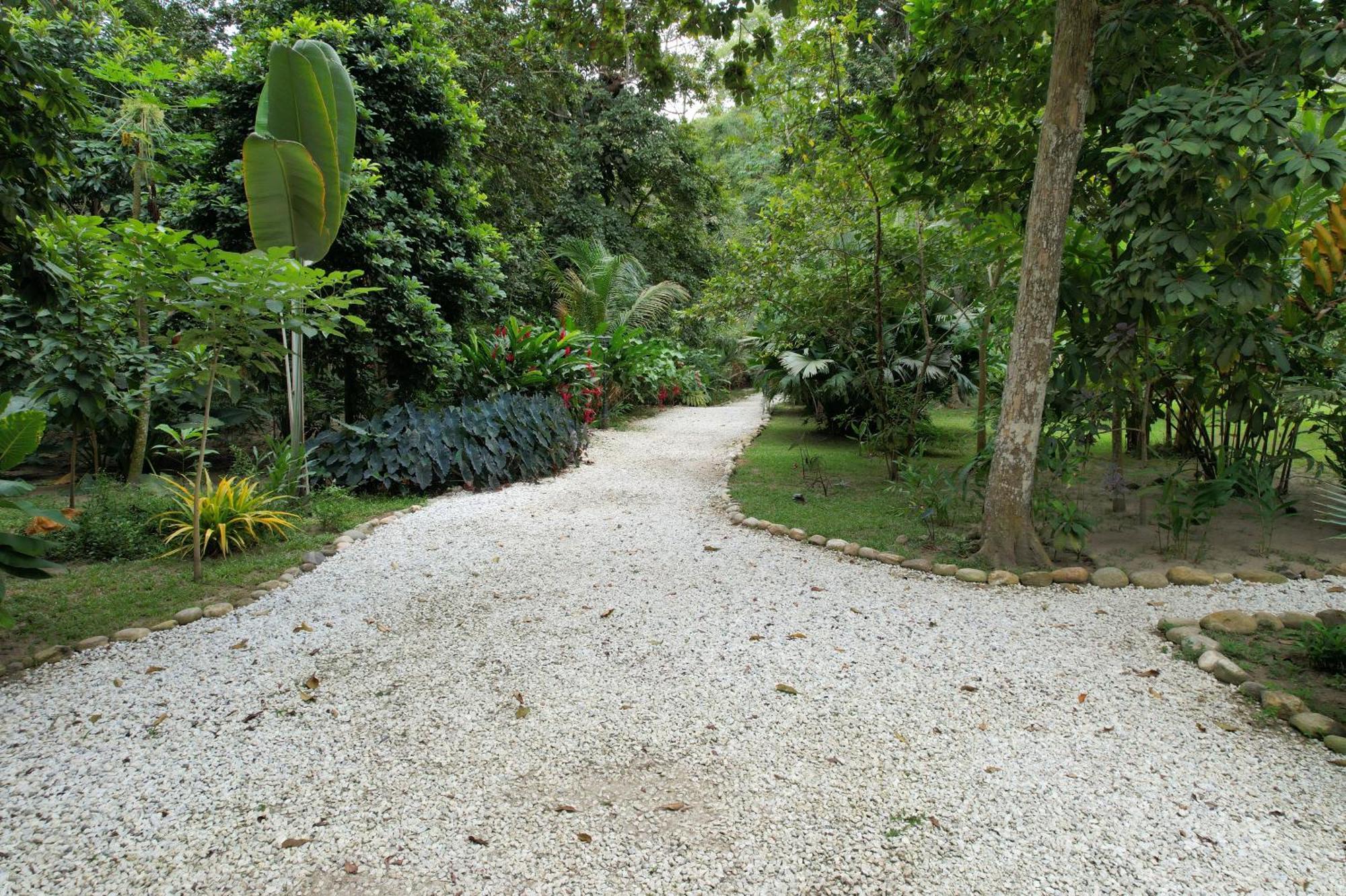 Salvia Madre Hotel Guachaca Buitenkant foto