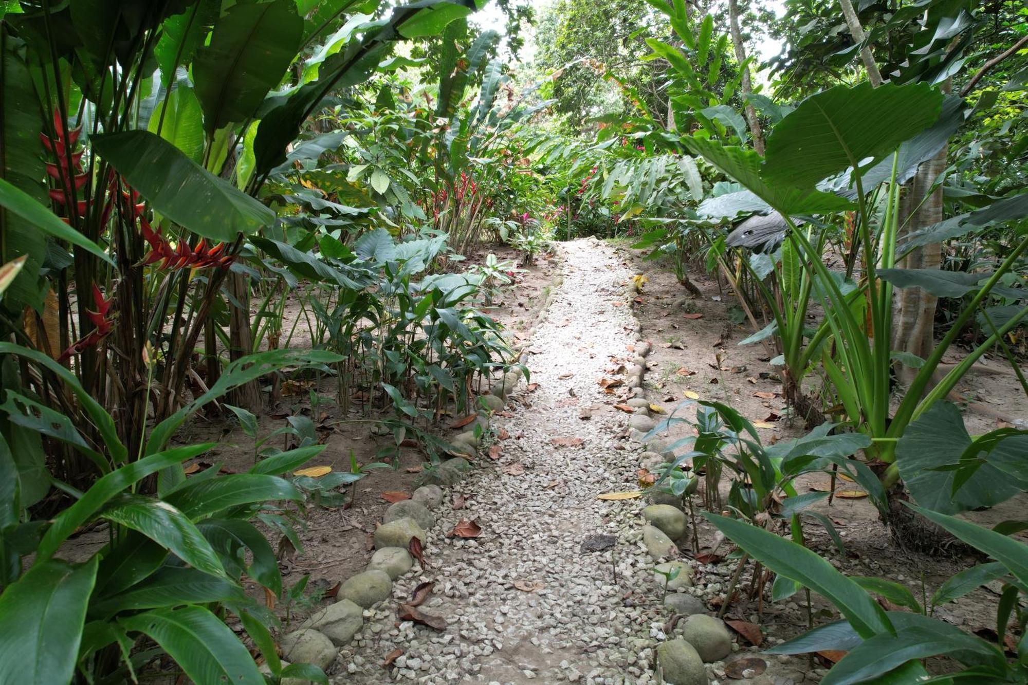 Salvia Madre Hotel Guachaca Buitenkant foto