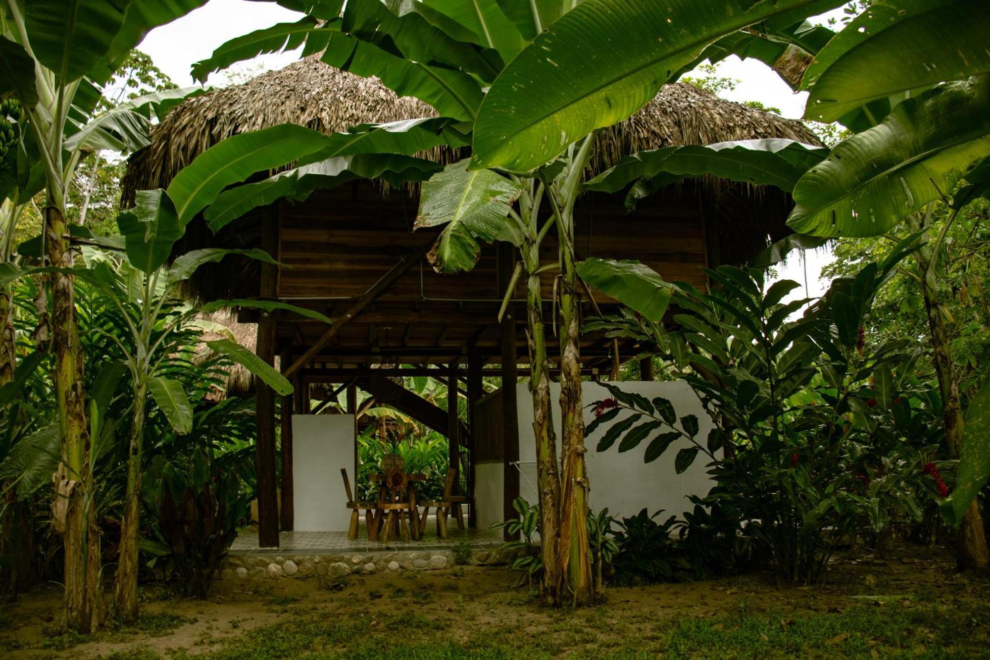 Salvia Madre Hotel Guachaca Buitenkant foto