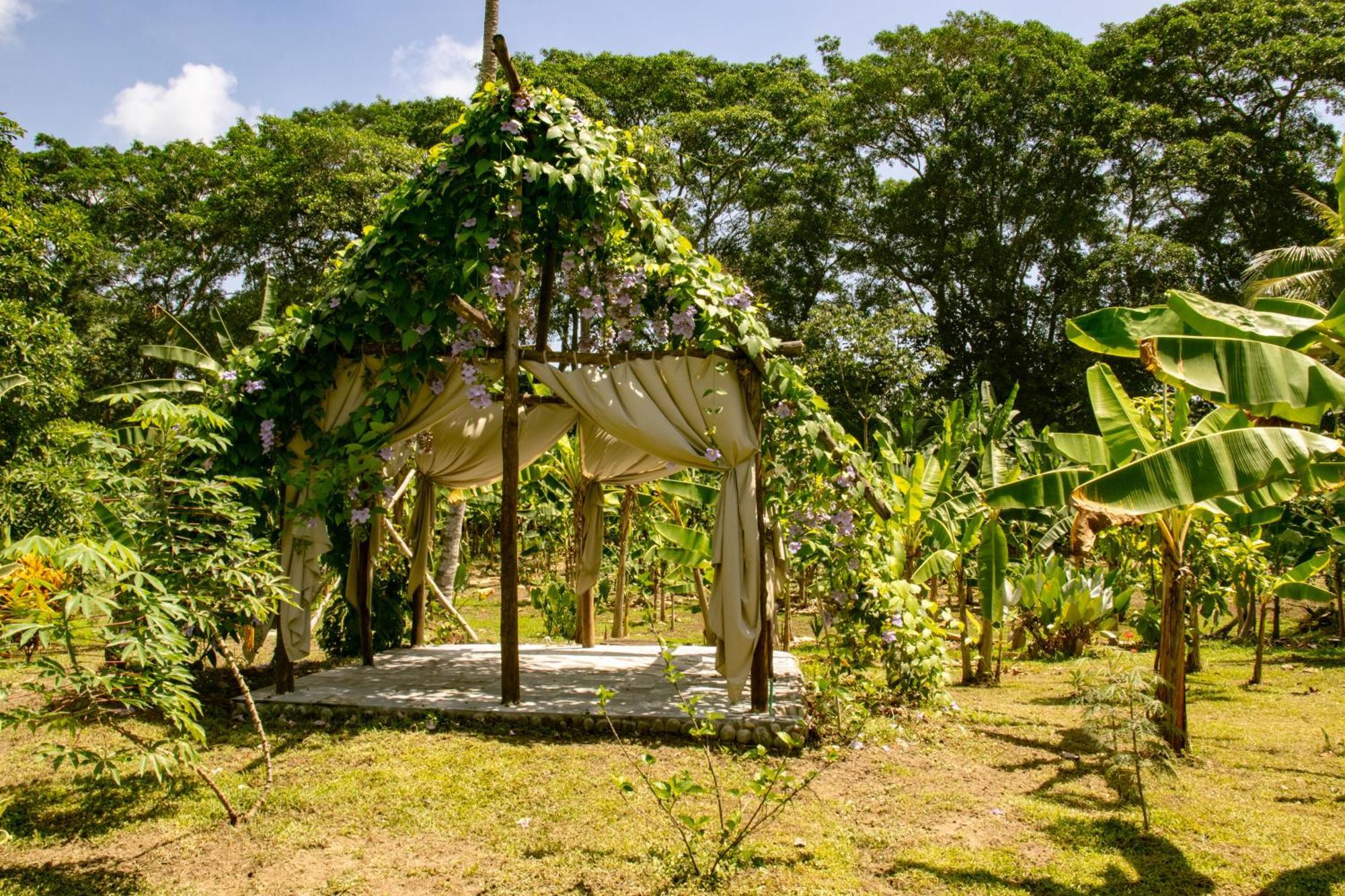 Salvia Madre Hotel Guachaca Buitenkant foto