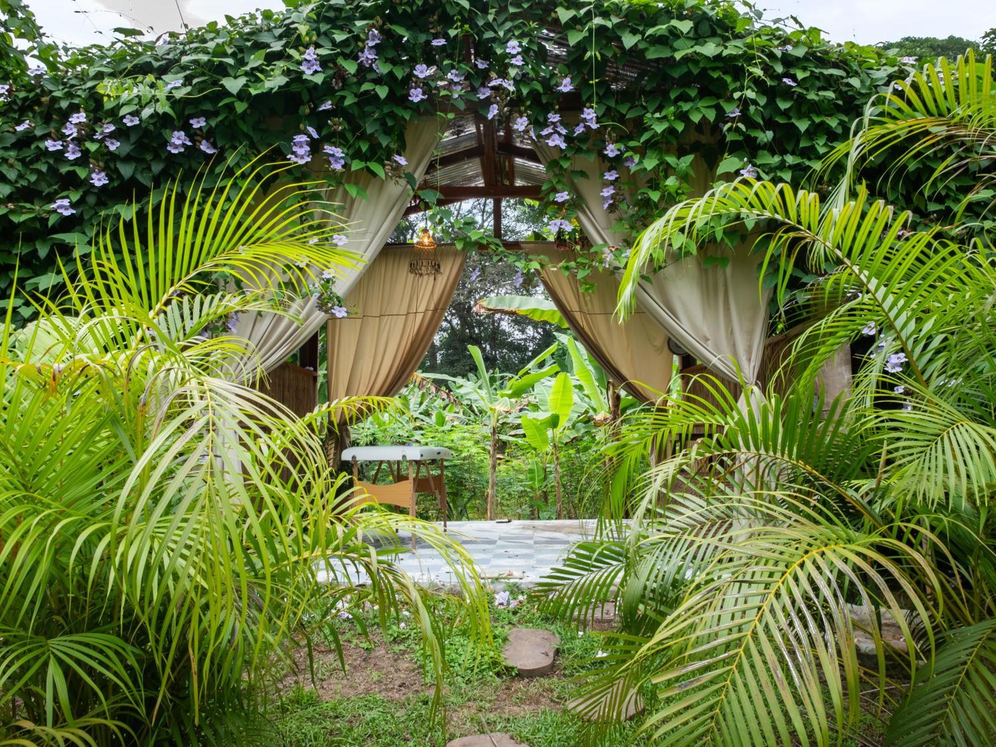 Salvia Madre Hotel Guachaca Buitenkant foto