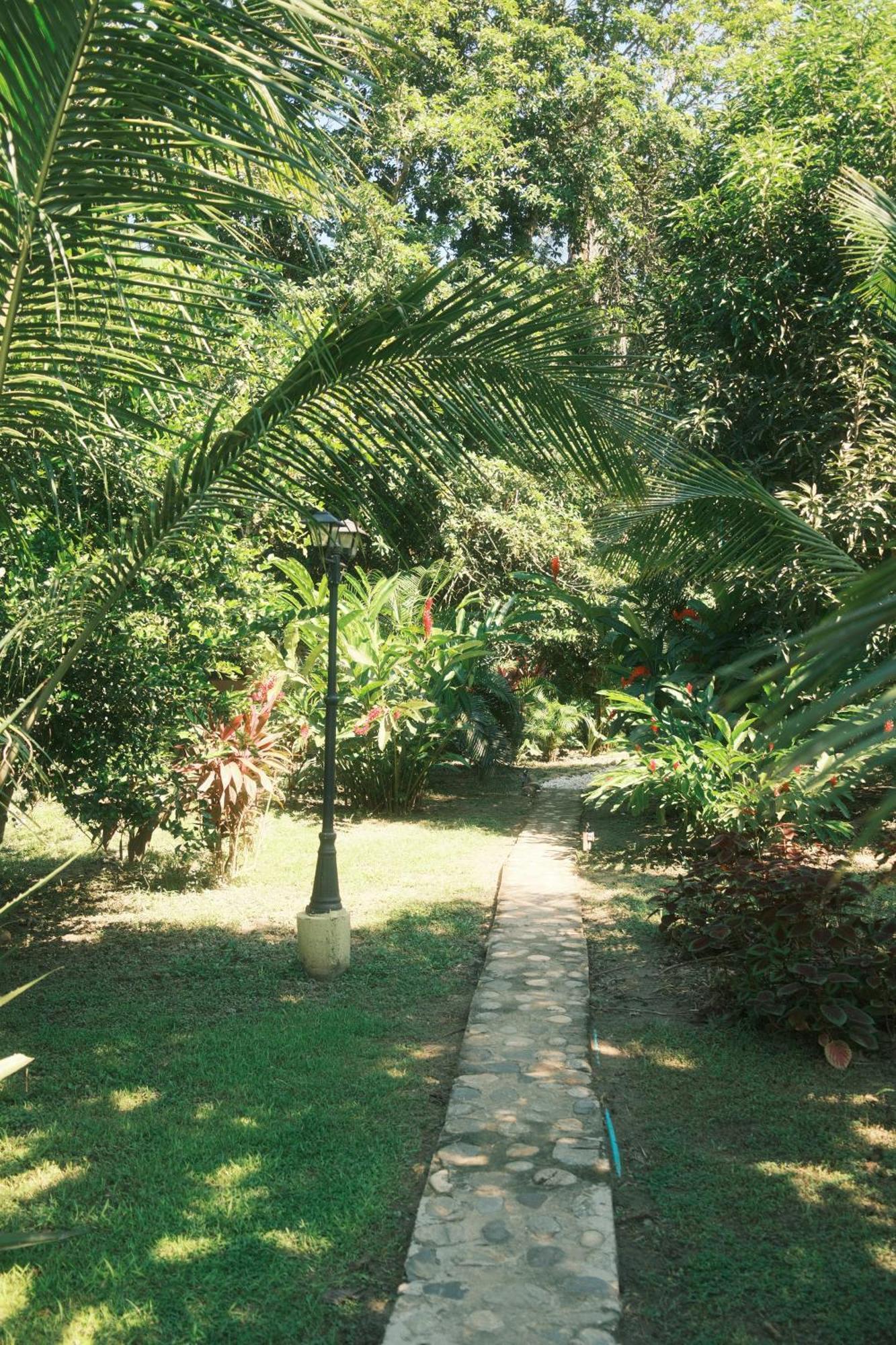 Salvia Madre Hotel Guachaca Buitenkant foto