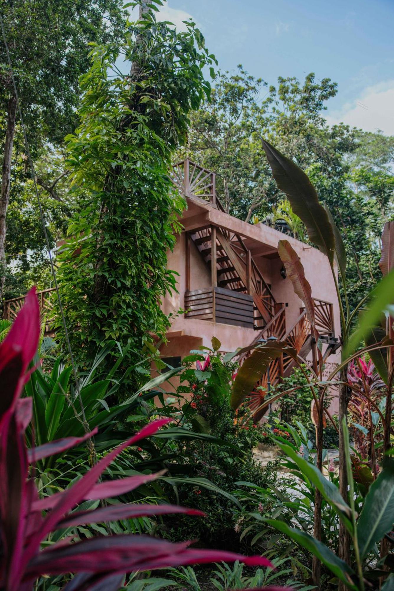 Salvia Madre Hotel Guachaca Buitenkant foto